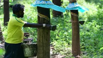 rubber business in india