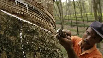 rubber business in india