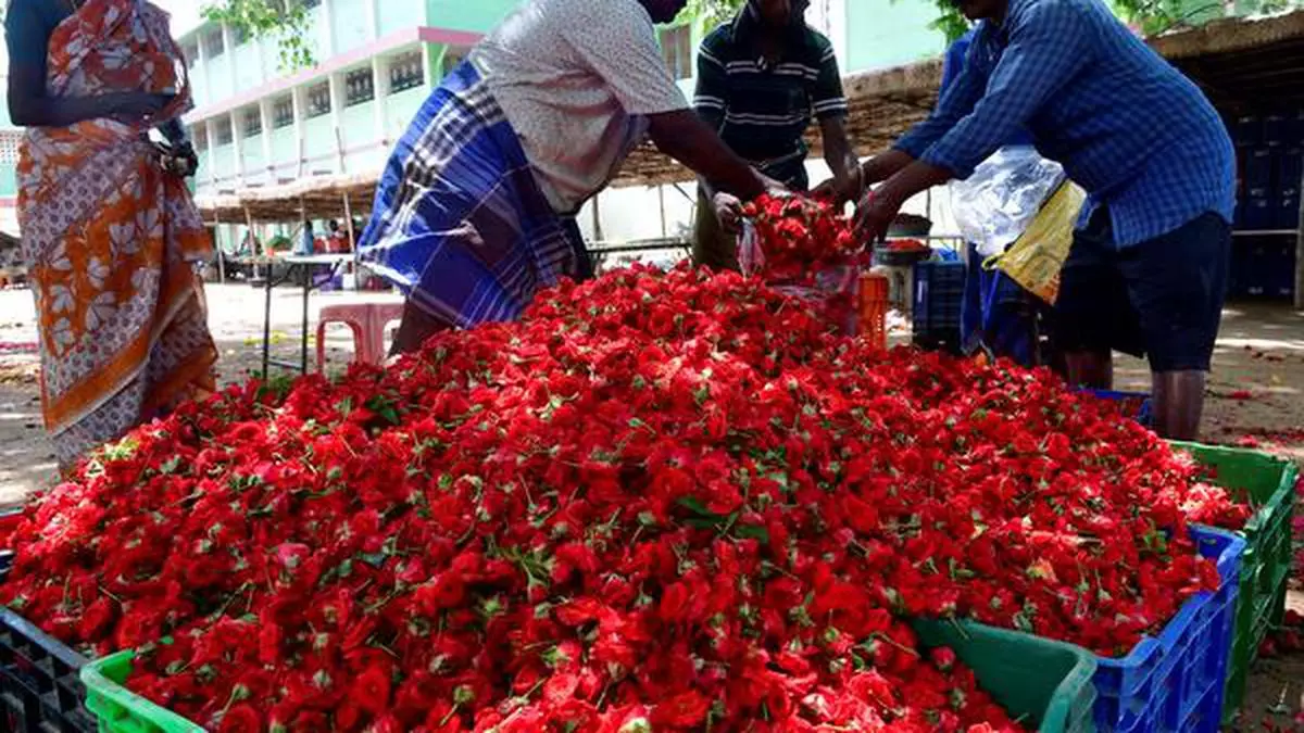 Indian flower market withers in Covid-19 pandemic
