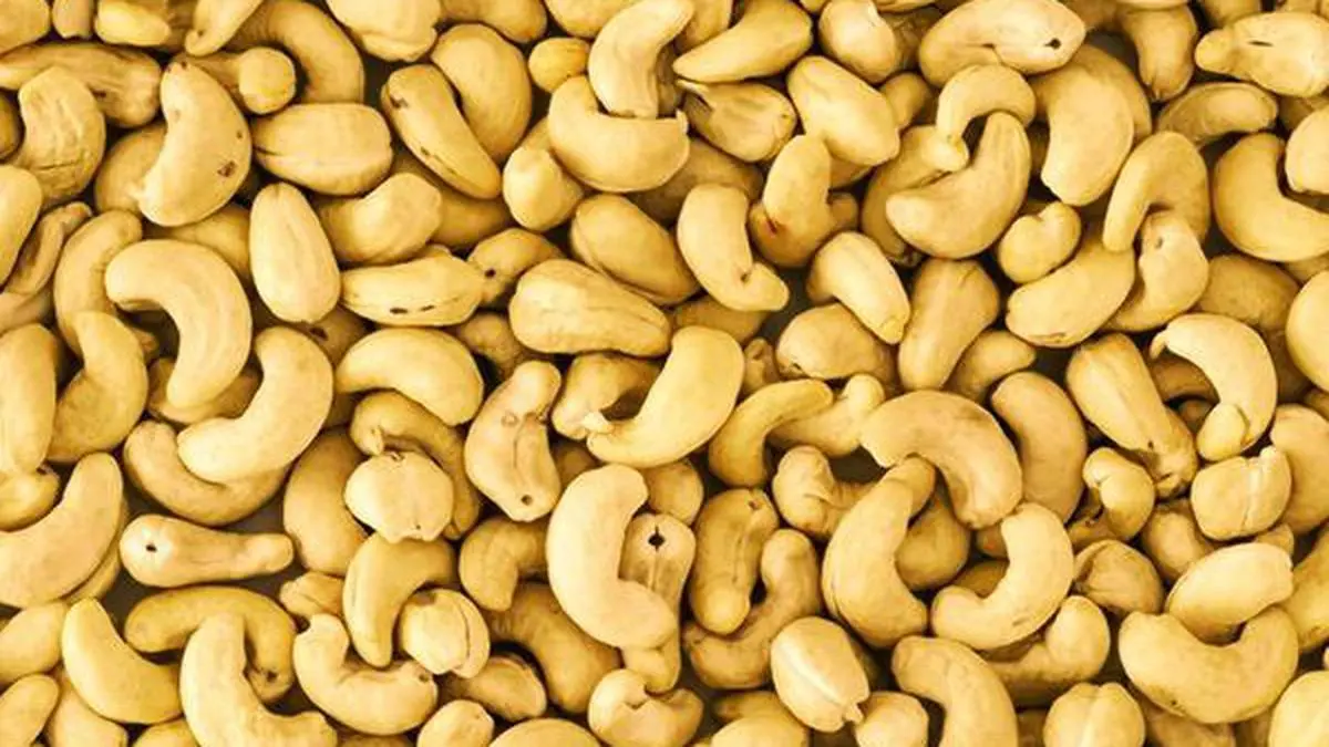 cashew manufacturers