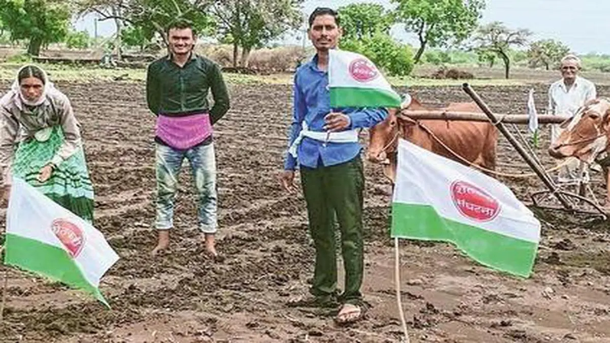 Seed industry raises a flag on surge in HT Bt cotton acreage