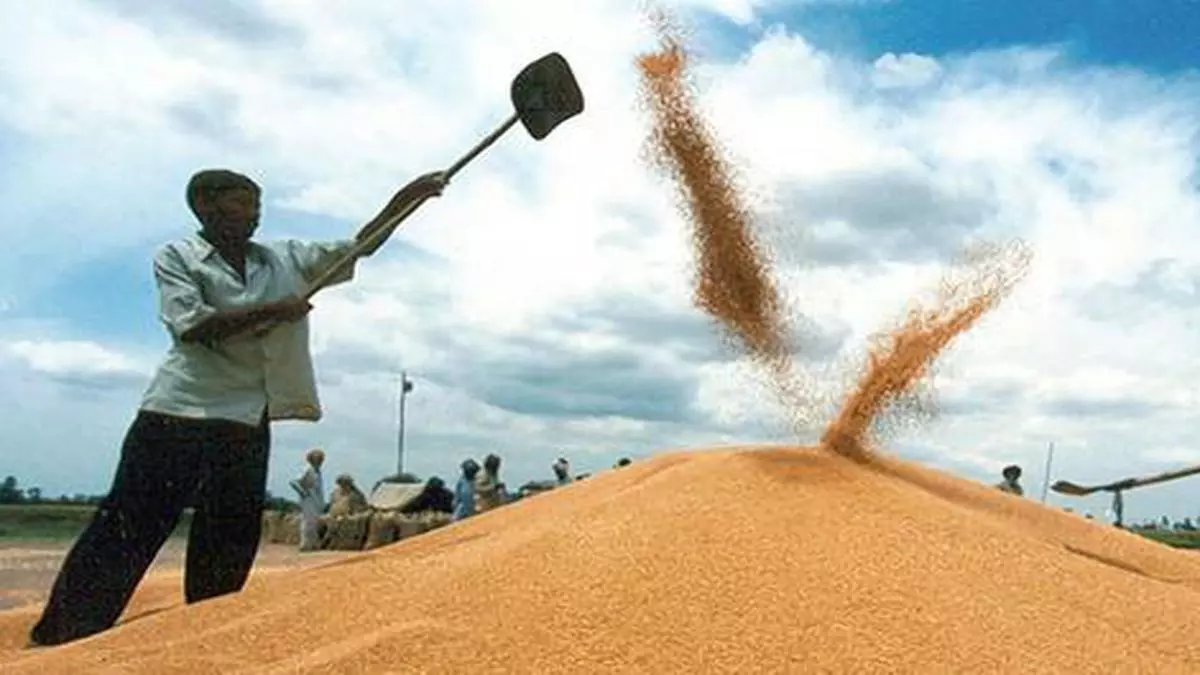 Buzz Update India mulls curbs on export of wheat products
 TOU