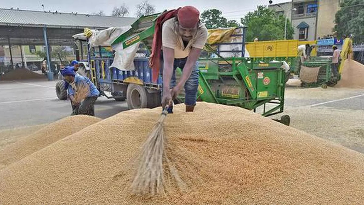 Wheat procurement begins in Gujarat - The Hindu BusinessLine