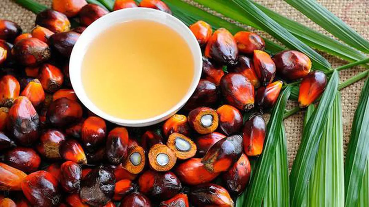 Alimentos con aceite de palma