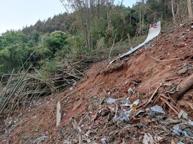Plane debris is seen at the site where a China Eastern Airlines Boeing 737-800 plane flying from Kunming to Guangzhou crashed, in Wuzhou, Guangxi Zhuang Autonomous Region, China March 21, 2022. Picture taken March 21, 2022. 