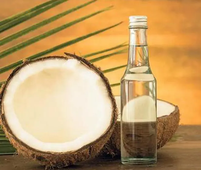 Coconut oil makers bet big on global rally in sunflower