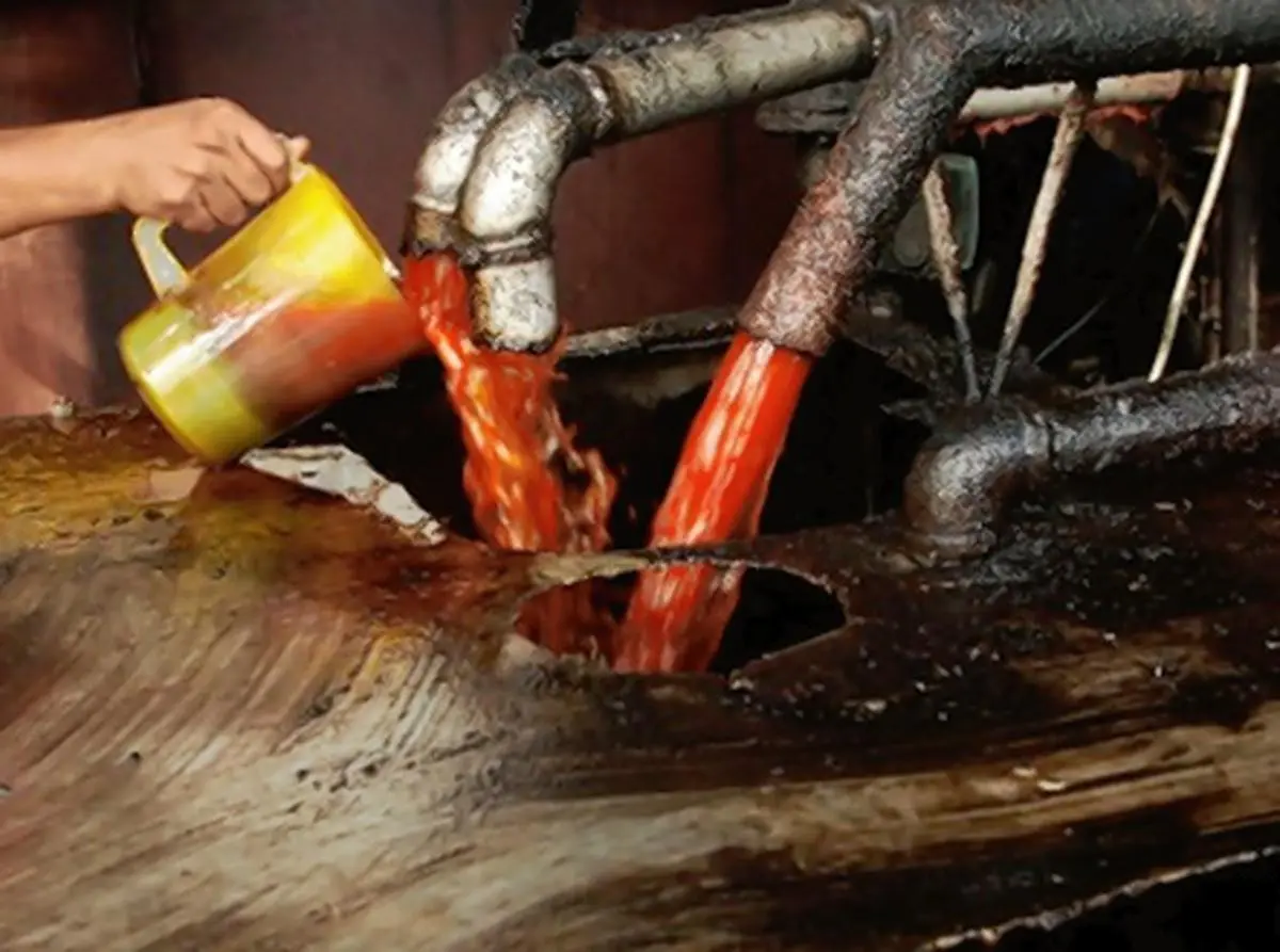 How Indonesia's Palm Oil Export Ban Could Bring A Perfect Storm In