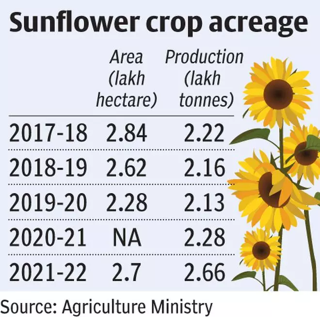 Centre to launch separate programme for raising sunflower acreage