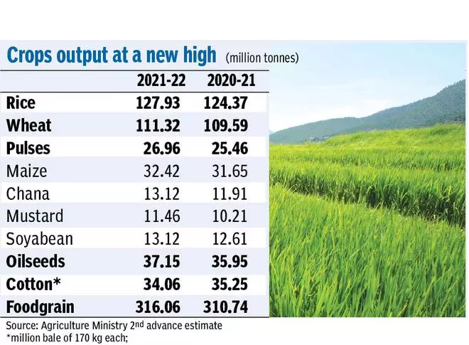 Agri Ministry estimates foodgrains output at record 316.06 million tonnes this year