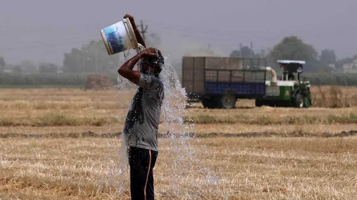 
        ICAR report highlights ways to fight heat wave, protect crops 
    