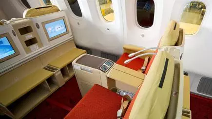 Air India Boeing 787 Dreamliner Review The Hindu Businessline