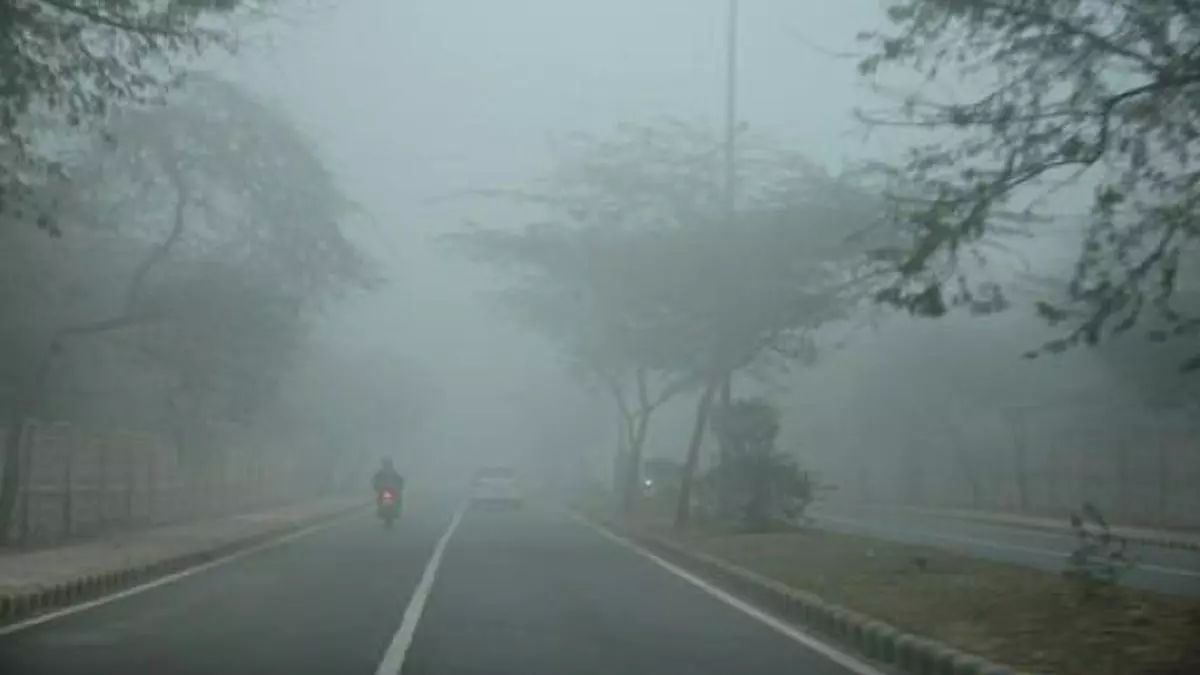Dense fog conditions may continue in North for 2 more days - Business Line