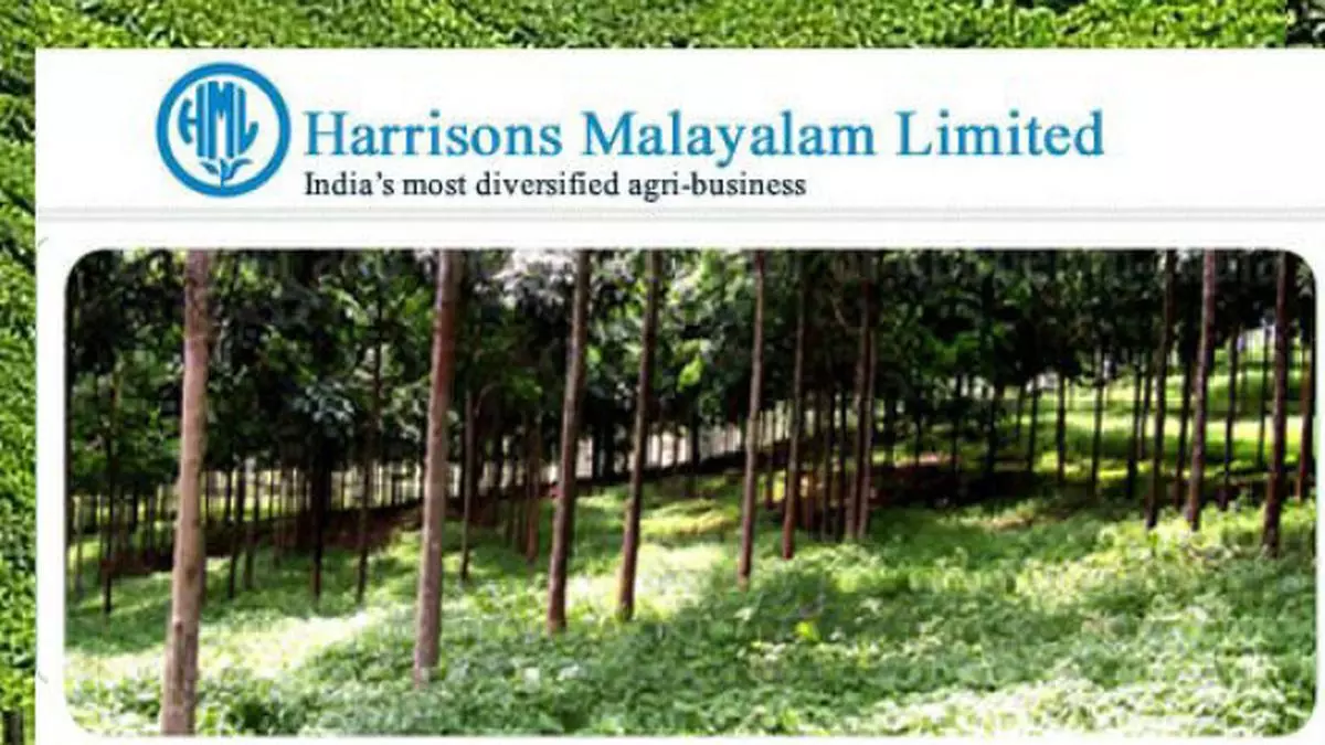 Harrisons Malayalam to focus on rubber, may take a call on tea ...