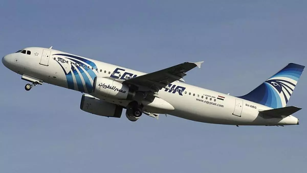 Egyptair купить билет. EGYPTAIR самолёт Аэробус. Самолет Egypt Air 804. A320-231. Картинки самолёта EGYPTAIR.