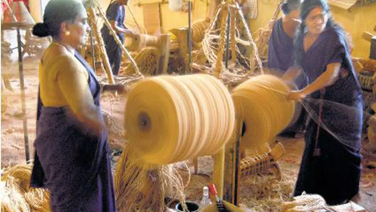 ‘Issues affecting Kerala's coir sector to be discussed with Centre