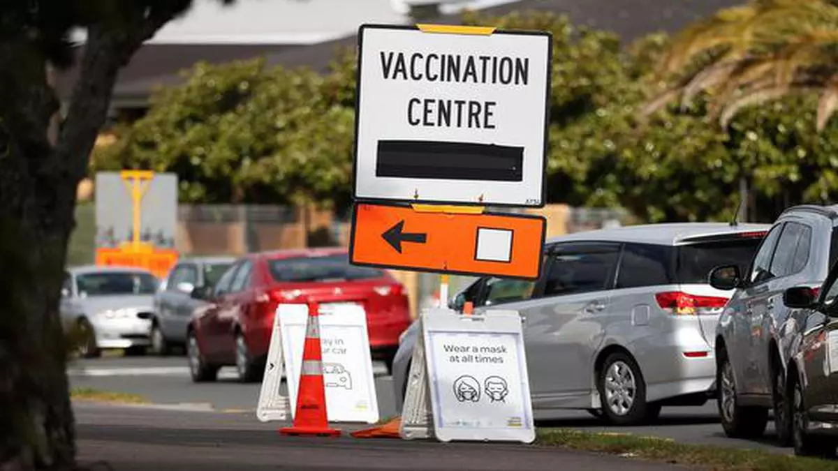 Covid-19: New Zealand reports first death linked to Pfizer vaccine - The Hindu BusinessLine