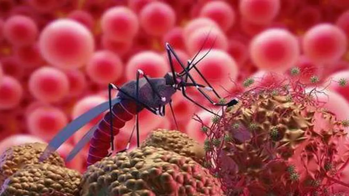 UoH researchers decode malaria - The Hindu BusinessLine