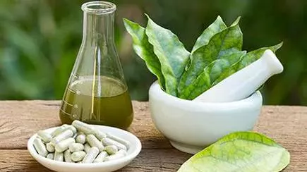Drdo Develops Herbal Drug To Treat Leucoderma The Hindu Businessline