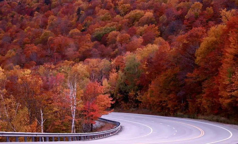 When the tropics become the 'fall' guy: Why India doesn't have an Autumn  season - The Hindu BusinessLine
