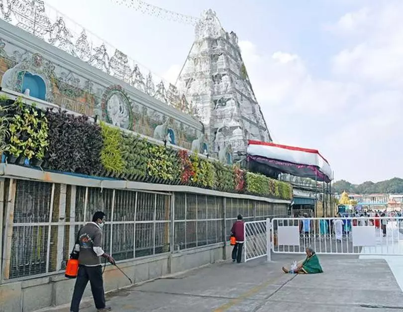 Tirumala is open, but without its ubiquitous queues - The Hindu BusinessLine