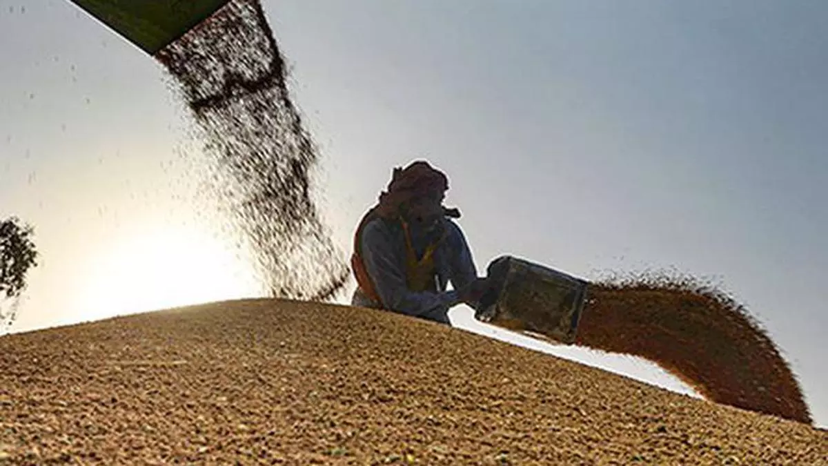 
        Govt clears 3 mt wheat for exports till now; 0.26 mt of flour shipped 
    