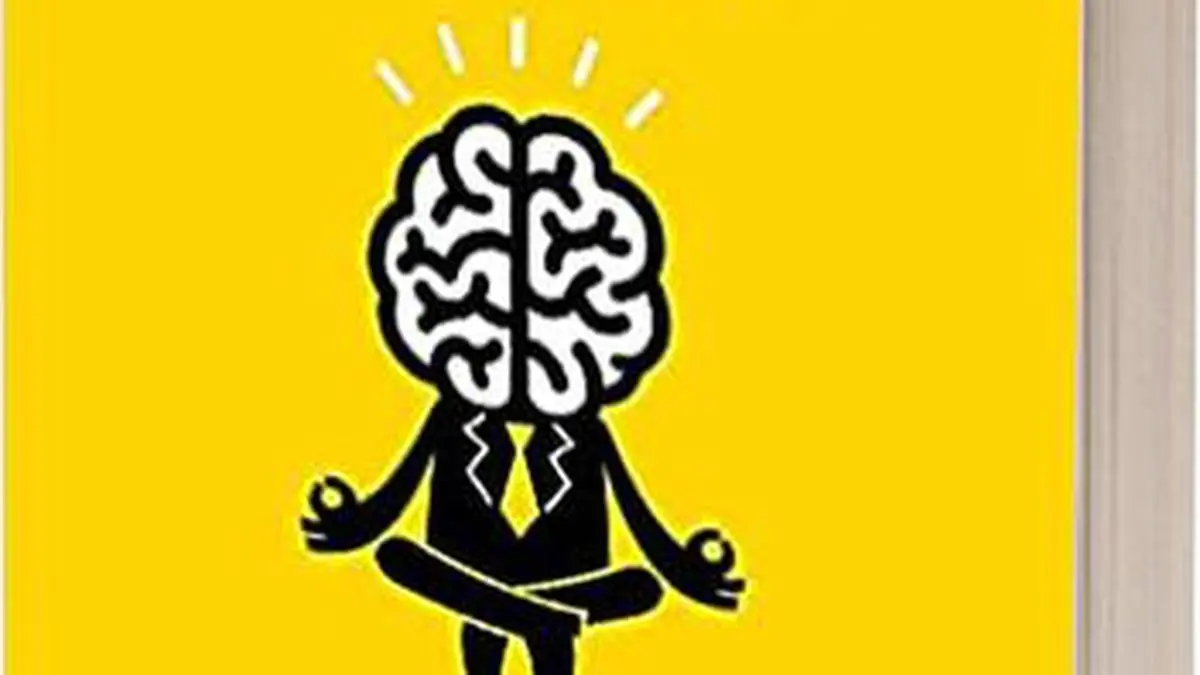 Triumphs And Travails Of A Consultant The Hindu Businessline
