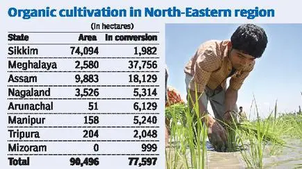 Tapping The N E S Organic Farming Potential The Hindu Businessline